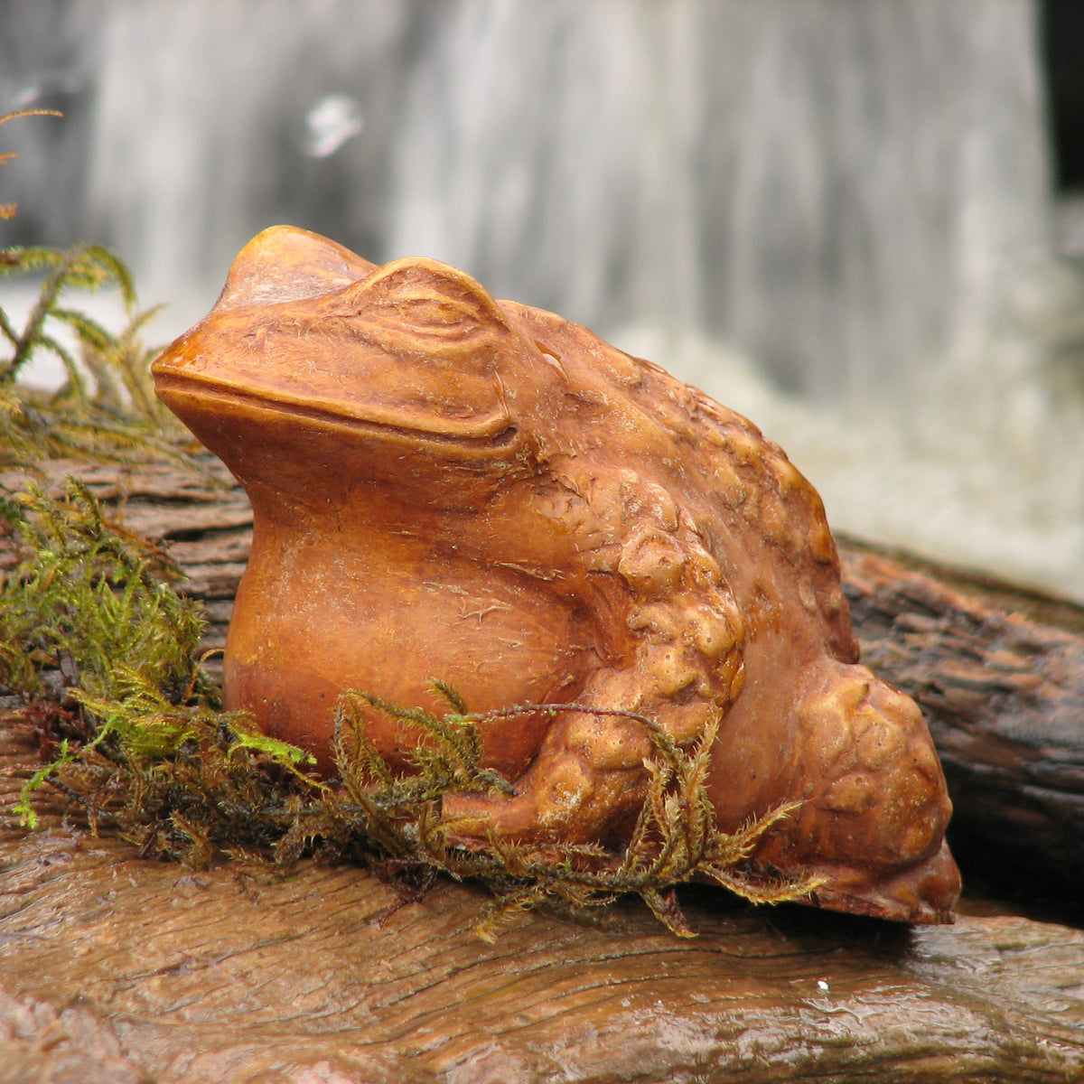 Fat Frog – Nichols Bros. Stoneworks