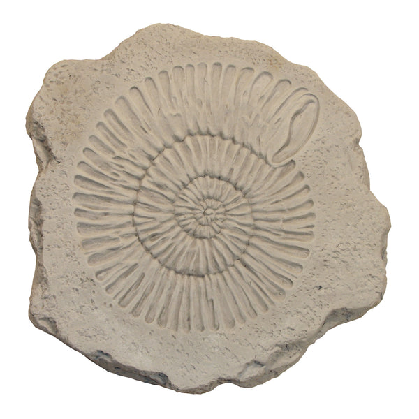 Ammonite Stepstone
