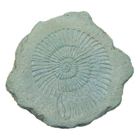 Ammonite Stepstone