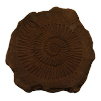 Ammonite Stepstone