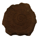 Ammonite Stepstone