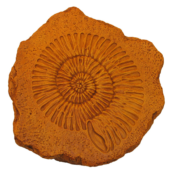 Ammonite Stepstone