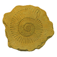 Ammonite Stepstone