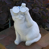 Birdwatching Cat