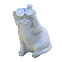 Birdwatching Cat