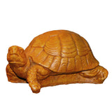 Box Turtle