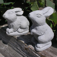 Bunny Pair