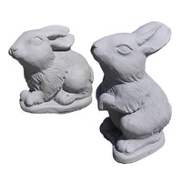 Bunny Pair