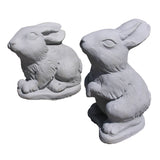 Bunny Pair