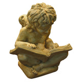 Cherub with Book