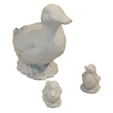 Duck and Ducklings