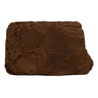 Fossil Stepstone