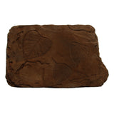 Fossil Stepstone