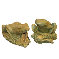 Frog Pair