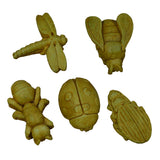 Garden Bugs