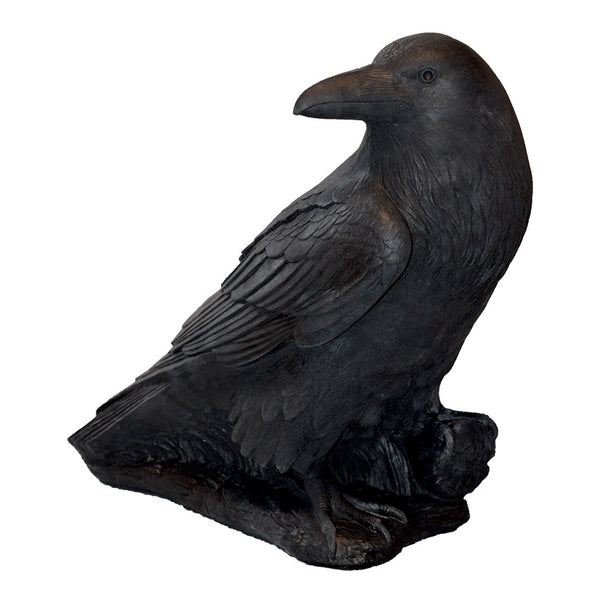 Large Raven