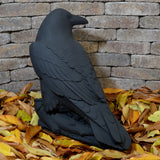 Large Raven