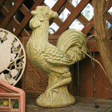 Large Rooster