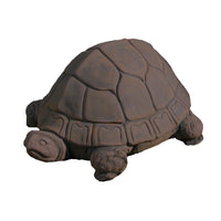 Tortoise