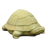 Tortoise