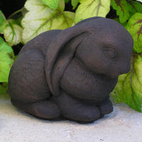 Lop-Ear Bunny