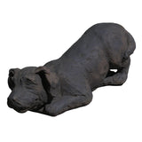 Pouncing Puppy