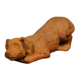 Pouncing Puppy