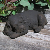 Sleeping Spaniel Puppy