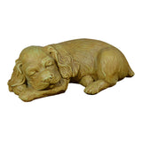 Sleeping Spaniel Puppy