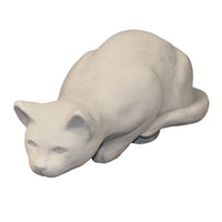 Small Crouching Cat