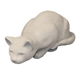 Small Crouching Cat