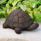 Tortoise