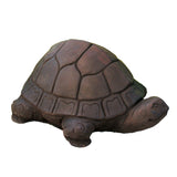 Tortoise