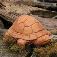 Tortoise