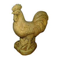Small Rooster