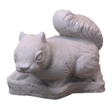 Small Squirrel