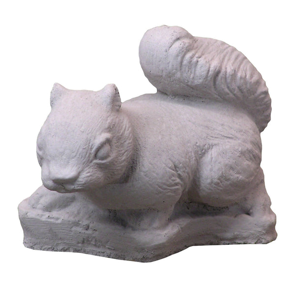 Small Squirrel