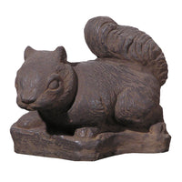 Small Squirrel