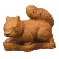 Small Squirrel