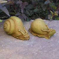 Snail Pair