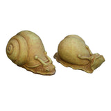 Snail Pair