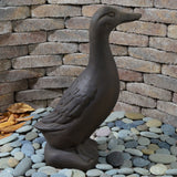 Standing Duck