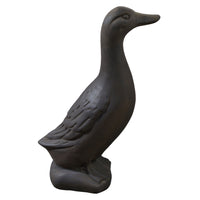 Standing Duck
