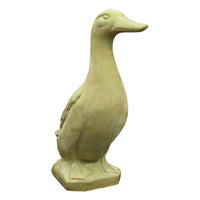 Standing Duck