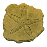 Starfish Stepstone