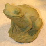 Tree Frog