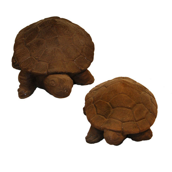 Turtle Pair
