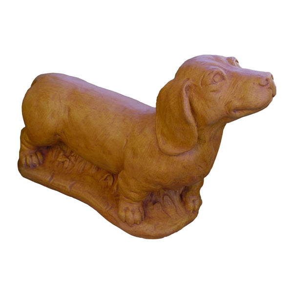 Dachshund