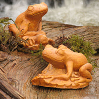 Frog Pair