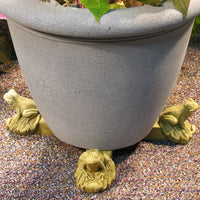 Frog Pot Feet